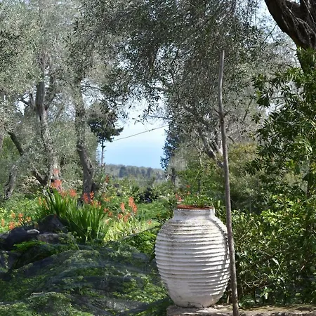 بيت للعطل Mikroulis