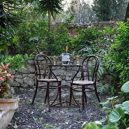 Mikroulis * Mastoratika